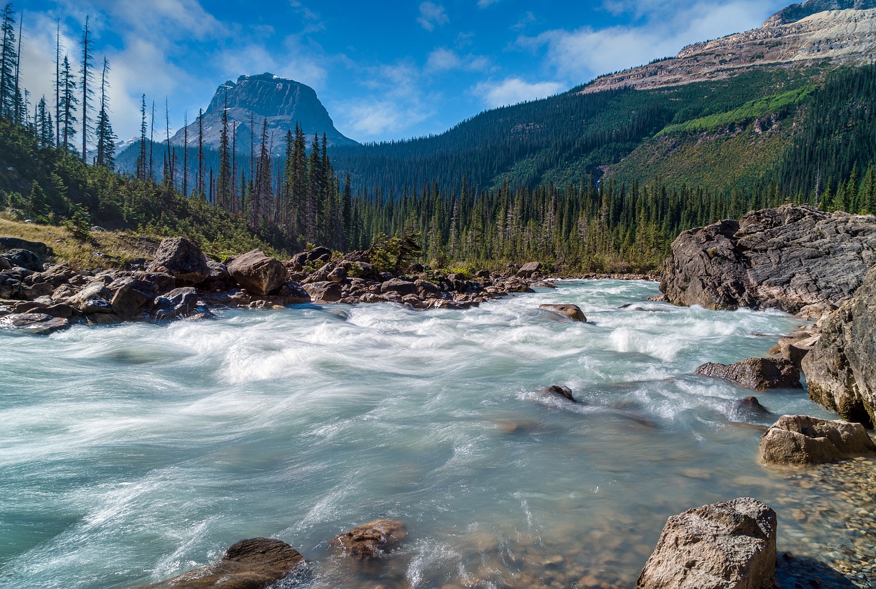 A Guide to the Most Scenic Drives in the United States